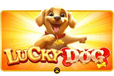 Bangladesh mobile user viewing Jewel Bonanza Slots with privacy and login awareness